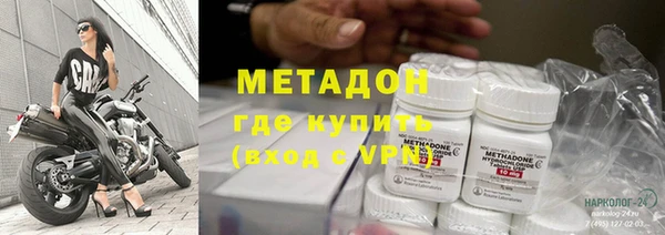 прущие грибы Арсеньев