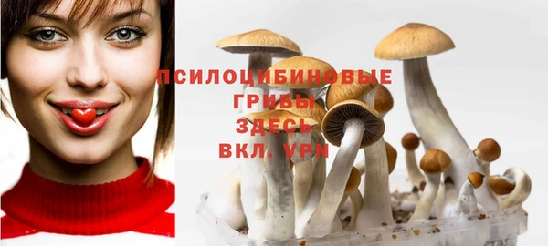 прущие грибы Арсеньев