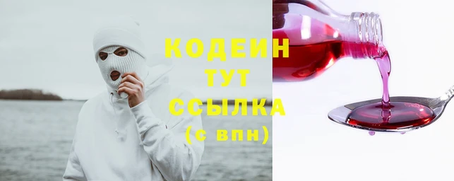 прущие грибы Арсеньев